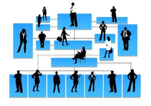 ERP software for movers provides a resolution to any internal company problems when it comes to organization and communication.