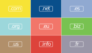 Domains are important for the concept of PBN development, so you need to learn how to acquire them.