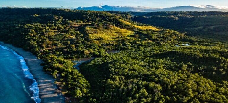 A Costa Rica rainforest viewed from above.