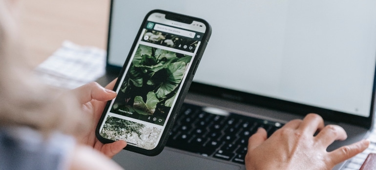 person doing an online search through their phone
